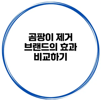 곰팡이 제거 브랜드의 효과 비교하기