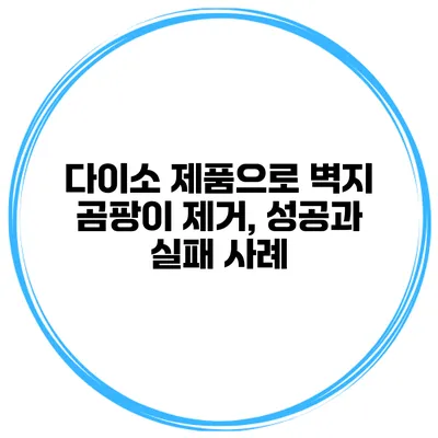 다이소 제품으로 벽지 곰팡이 제거, 성공과 실패 사례