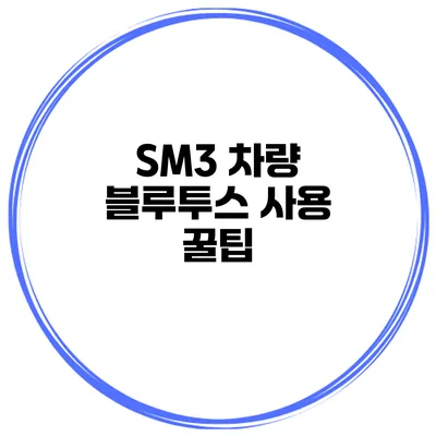 SM3 차량 블루투스 사용 꿀팁