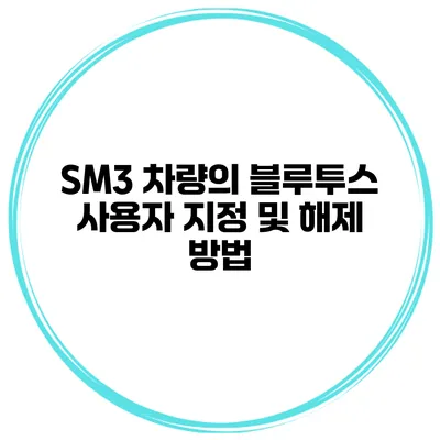 SM3 차량의 블루투스 사용자 지정 및 해제 방법