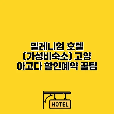 밀레니엄 호텔 (가성비숙소) 고양 아고다 할인예약 꿀팁