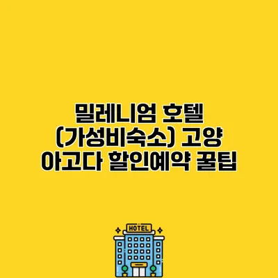 밀레니엄 호텔 (가성비숙소) 고양 아고다 할인예약 꿀팁