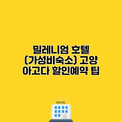 밀레니엄 호텔 (가성비숙소) 고양 아고다 할인예약 팁