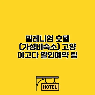 밀레니엄 호텔 (가성비숙소) 고양 아고다 할인예약 팁