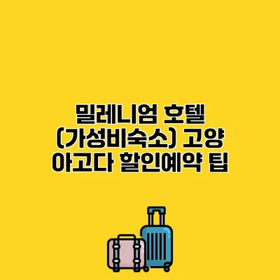 밀레니엄 호텔 (가성비숙소) 고양 아고다 할인예약 팁