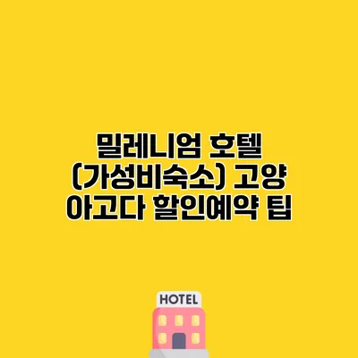 밀레니엄 호텔 (가성비숙소) 고양 아고다 할인예약 팁