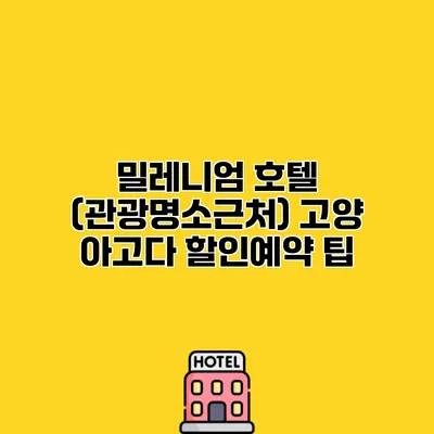 밀레니엄 호텔 (관광명소근처) 고양 아고다 할인예약 팁