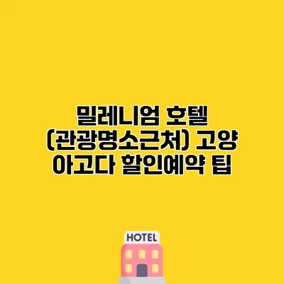 밀레니엄 호텔 (관광명소근처) 고양 아고다 할인예약 팁