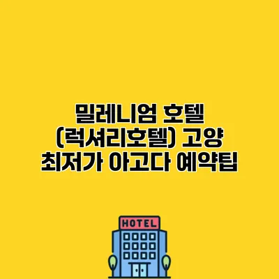 밀레니엄 호텔 (럭셔리호텔) 고양 최저가 아고다 예약팁
