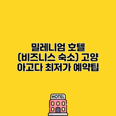 밀레니엄 호텔 (비즈니스 숙소) 고양 아고다 최저가 예약팁