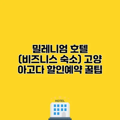 밀레니엄 호텔 (비즈니스 숙소) 고양 아고다 할인예약 꿀팁