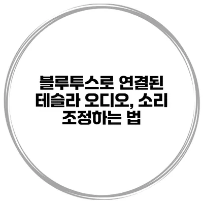 블루투스로 연결된 테슬라 오디오, 소리 조정하는 법