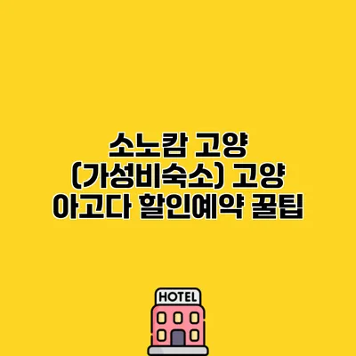 소노캄 고양 (가성비숙소) 고양 아고다 할인예약 꿀팁