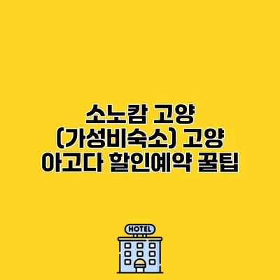 소노캄 고양 (가성비숙소) 고양 아고다 할인예약 꿀팁