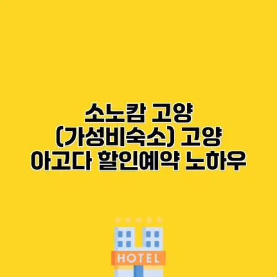 소노캄 고양 (가성비숙소) 고양 아고다 할인예약 노하우
