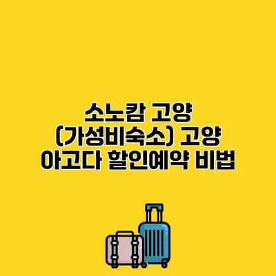 소노캄 고양 (가성비숙소) 고양 아고다 할인예약 비법