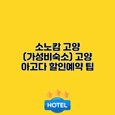 소노캄 고양 (가성비숙소) 고양 아고다 할인예약 팁