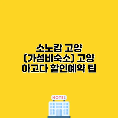 소노캄 고양 (가성비숙소) 고양 아고다 할인예약 팁