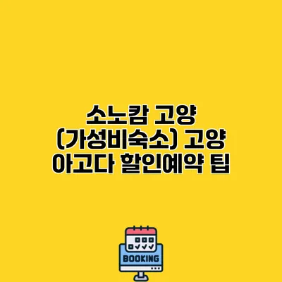 소노캄 고양 (가성비숙소) 고양 아고다 할인예약 팁