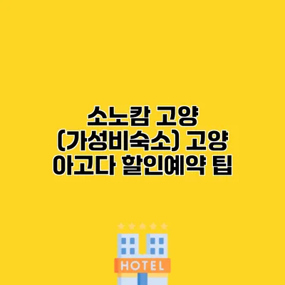 소노캄 고양 (가성비숙소) 고양 아고다 할인예약 팁