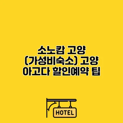 소노캄 고양 (가성비숙소) 고양 아고다 할인예약 팁