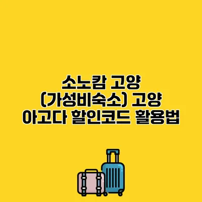 소노캄 고양 (가성비숙소) 고양 아고다 할인코드 활용법
