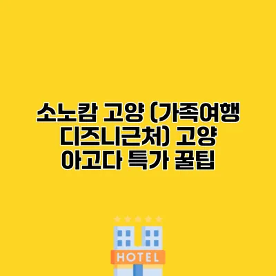 소노캄 고양 (가족여행 디즈니근처) 고양 아고다 특가 꿀팁