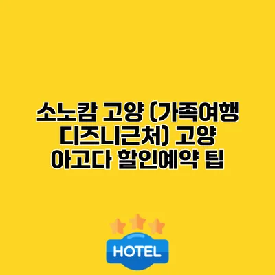 소노캄 고양 (가족여행 디즈니근처) 고양 아고다 할인예약 팁