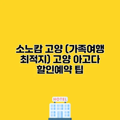 소노캄 고양 (가족여행 최적지) 고양 아고다 할인예약 팁