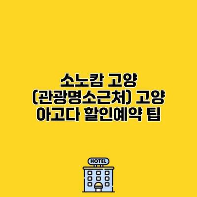 소노캄 고양 (관광명소근처) 고양 아고다 할인예약 팁