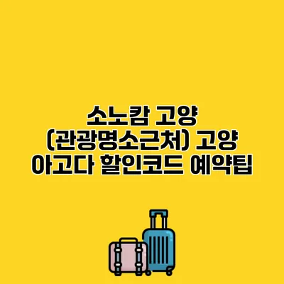 소노캄 고양 (관광명소근처) 고양 아고다 할인코드 예약팁