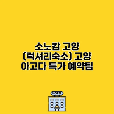 소노캄 고양 (럭셔리숙소) 고양 아고다 특가 예약팁