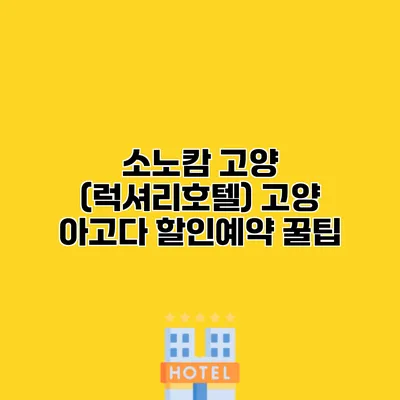 소노캄 고양 (럭셔리호텔) 고양 아고다 할인예약 꿀팁