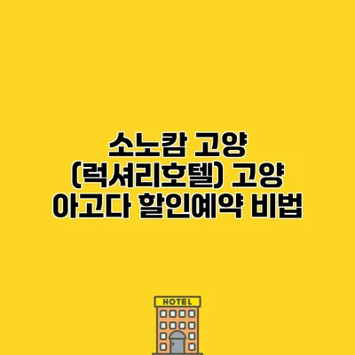 소노캄 고양 (럭셔리호텔) 고양 아고다 할인예약 비법
