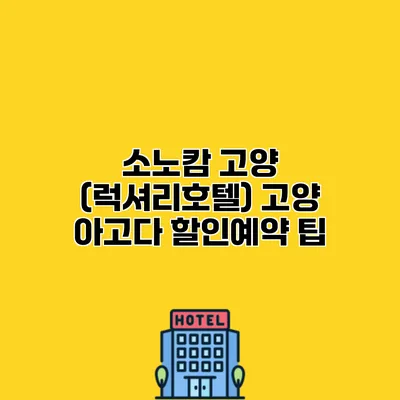 소노캄 고양 (럭셔리호텔) 고양 아고다 할인예약 팁
