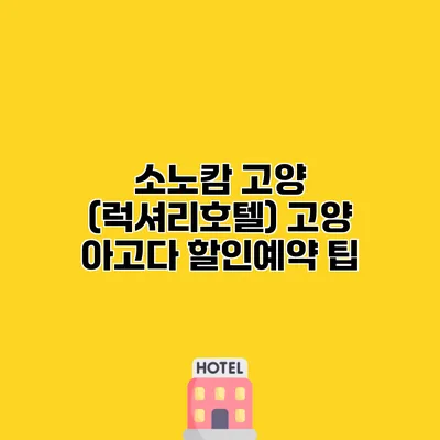 소노캄 고양 (럭셔리호텔) 고양 아고다 할인예약 팁