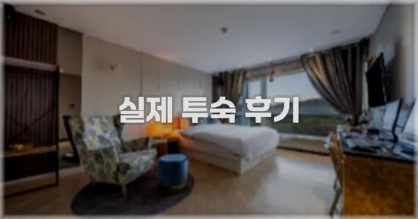 💬 실제 투숙 후기