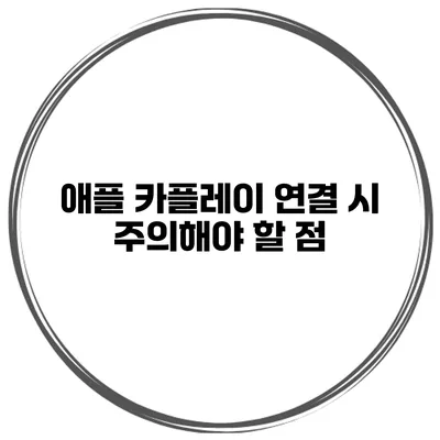 애플 카플레이 연결 시 주의해야 할 점