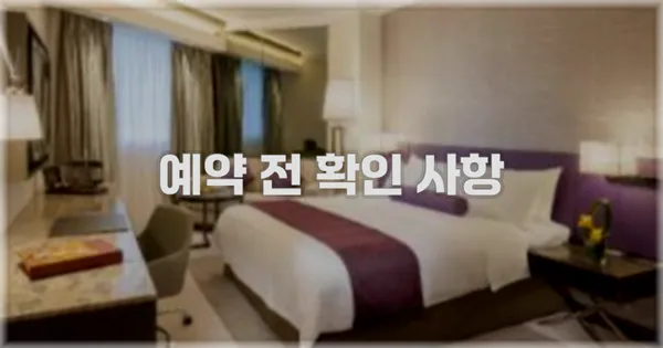 예약 전 확인 사항