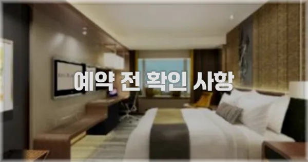예약 전 확인 사항