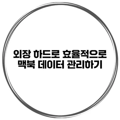 외장 하드로 효율적으로 맥북 데이터 관리하기
