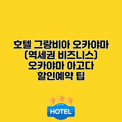 호텔 그랑비아 오카야마 (역세권 비즈니스) 오카야마 아고다 할인예약 팁