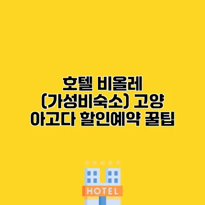 호텔 비올레 (가성비숙소) 고양 아고다 할인예약 꿀팁