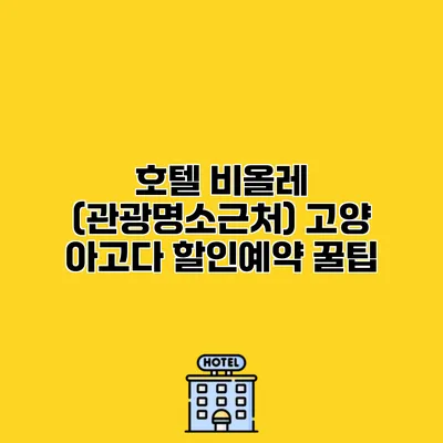 호텔 비올레 (관광명소근처) 고양 아고다 할인예약 꿀팁